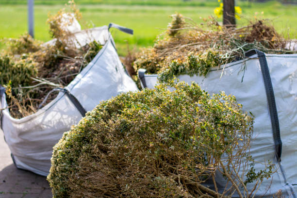 Junk Removal for Events in Coldstream, KY